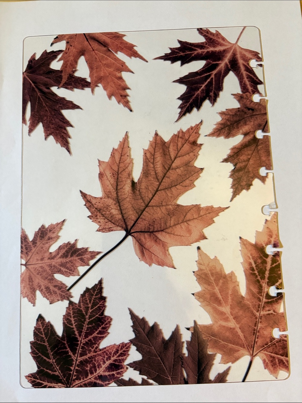 Jane’s Agenda October 2025 Jr Discbound planner cover and page finder - Picture 3 of 6